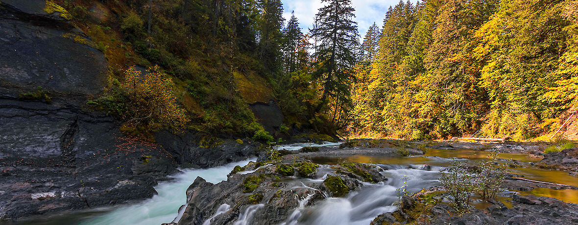 Cowichan River Provincial Park
