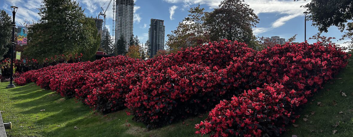Parks and skyscrapers